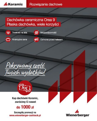 Dachówki ceramiczne i cementowe