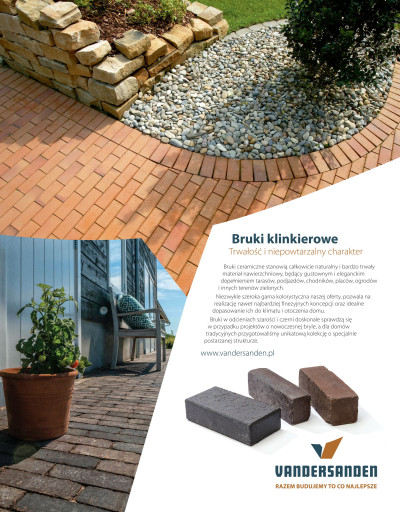 Superfood - borówka prosto z ogródka