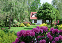 Z miłości do różaneczników