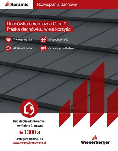 Wiele zalet i jedna wada