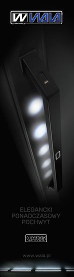 25 lat IMMERGAS w Polsce