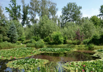 Sekretny ogród