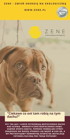 Innowacyjne podkłady bez zbrojenia do dachów dwuspadowych