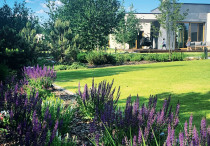 Nowocześnie wpisany w otoczenie