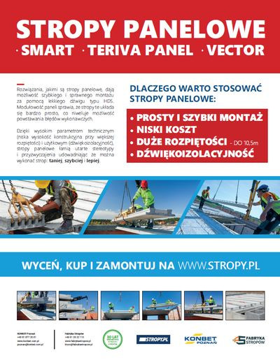Jaki strop wybrać?
