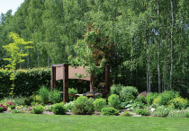 Ogród z brzeziną w tle