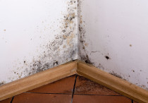 Jak wybudować zdrowy dom