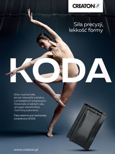 Dachy, pokrycia, rynny