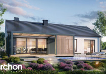 Dom w kosaćcach 2 (N)