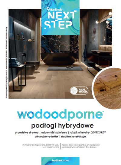 Wybudowanie stanu surowego