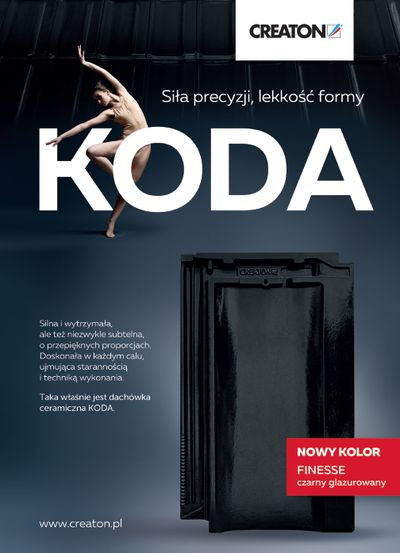 Dachy, pokrycia, rynny