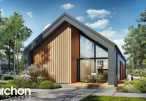 Dom w kosaćcach 9 (N)