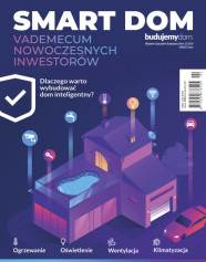 Smart Dom 2020