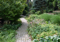 Z długimi osiami widokowymi