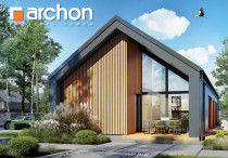 Dom w kosaćcach 9 (N)