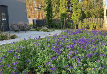 Harmonia w ogrodzie i domu