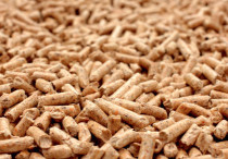 Pellet drzewny