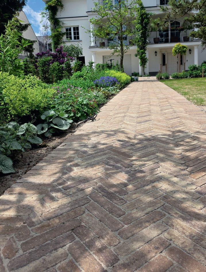 Beton w ogrodzie biofilicznym - gdy natura spotyka technologię