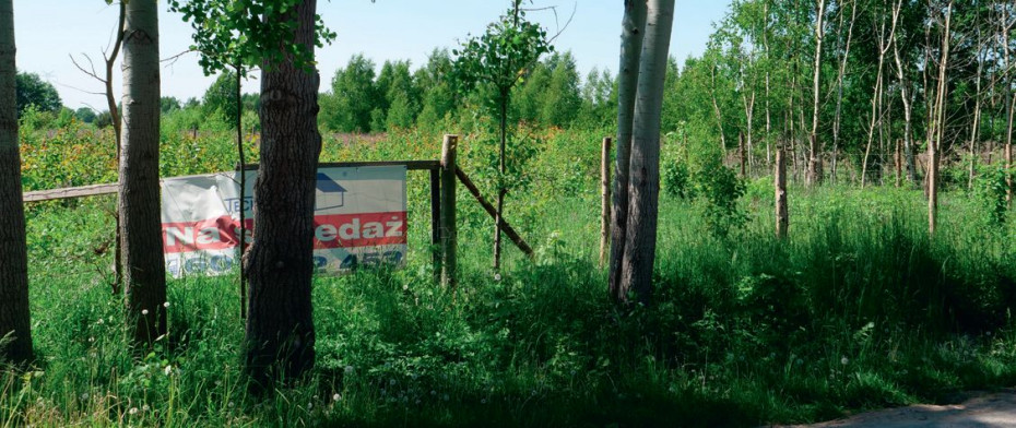 Wybór działki
