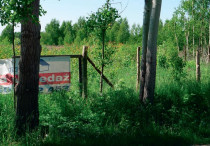 Wybór działki