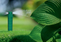 Nasza innowacja. Twoje prawo. Nasza obrona.