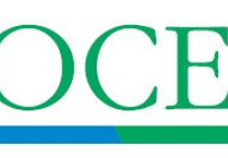 Jak mądrze wybrać izolację dla domu energooszczędnego?