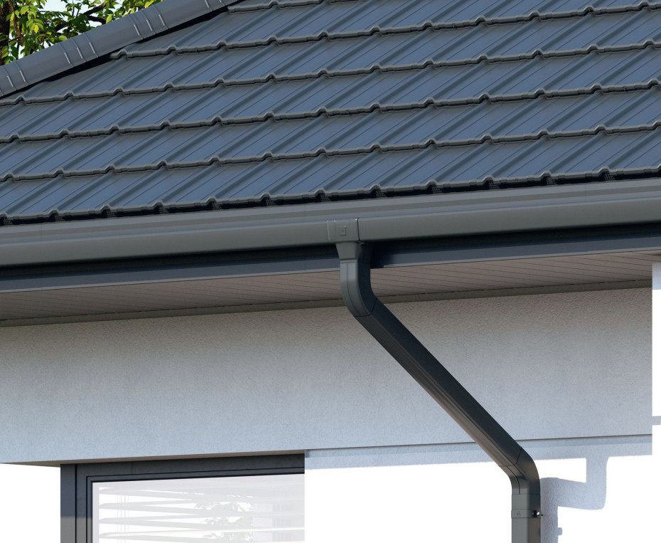 Strażnicy suchych ścian