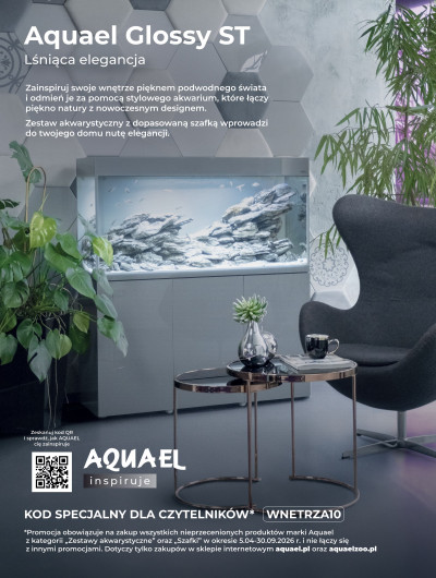 Allora Living - rozsmakuj się w relaksie