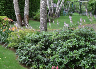 Natalia - Członkini Klubu Budujących Dom, nawadnianie użytkuje od 2011 r.
