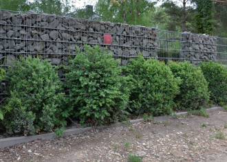 Rafał - Czytelnik Budujemy Dom, ogrodzenie użytkuje od 2013 r.