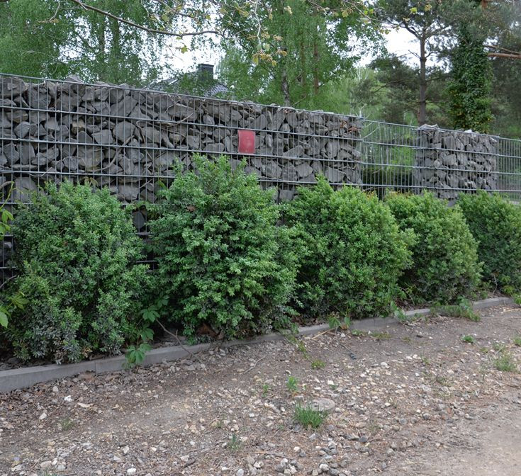 Rafał - Czytelnik Budujemy Dom, ogrodzenie użytkuje od 2013 r.